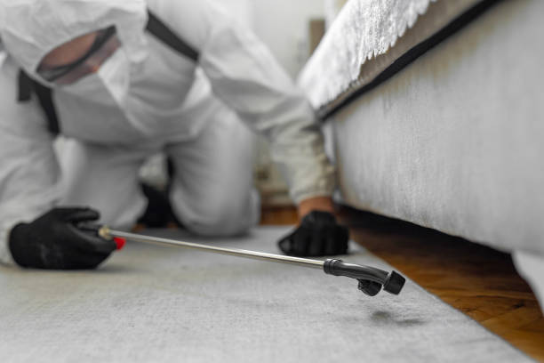 Professional Cockroach Control technician working in Woodmere, NY